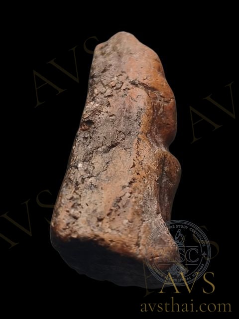 AMU-2026-0001 right